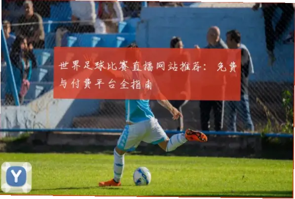 足球 直播｜足球直播免费平台推荐